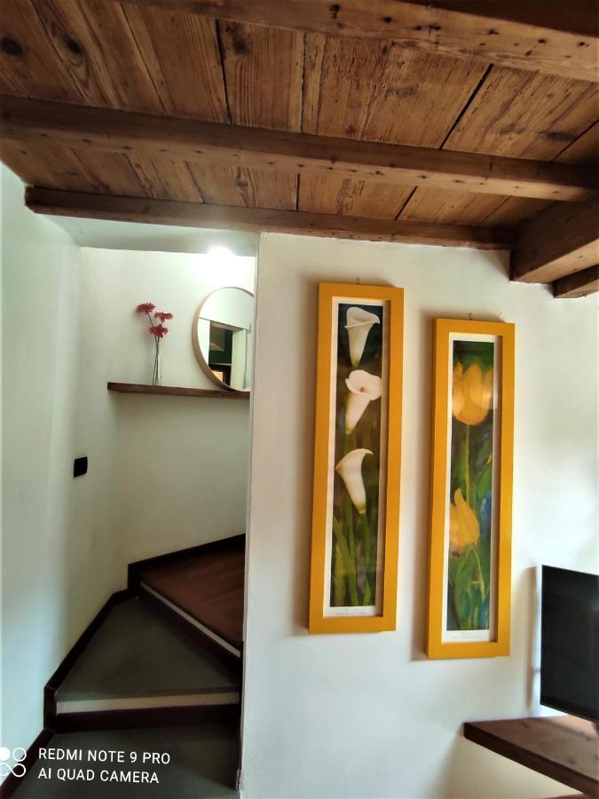 Careggi Garden Apartment 佛罗伦萨 外观 照片